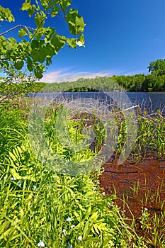 Wisconsin Northwoods Lake Landscape photo