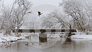 Wisconsin Snowy River Winter Landscape