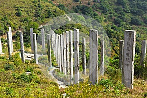 Wisdom Path in Hong Kong photo