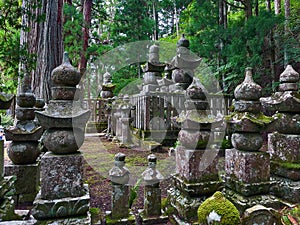 Wisdom in Stone: Ancient Cemetery Scenes of Koyasan, Wakayama, Japan