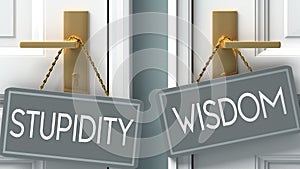 Wisdom or stupidity as a choice in life - pictured as words stupidity, wisdom on doors to show that stupidity and wisdom are photo