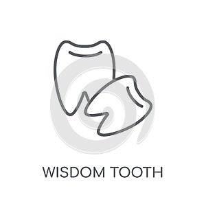 Wisdom tooth linear icon. Modern outline Wisdom tooth logo conce