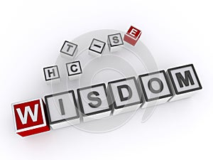 wisdom word block on white