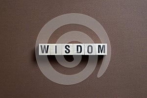 Wisdom word concept on cubes