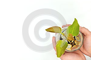Wise investment, business, make money, interest, and savings concept. Hands holding glass jar of coins with growing plant.
