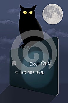 A wise old has selected a credit card upon which to rest in the moonlight