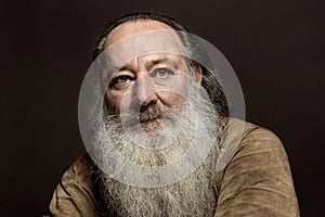 a wise old man with a long gray beard