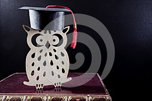 Wise old owl university student on books