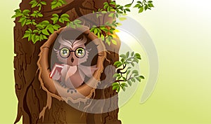 Wise owl with book in hollow of tree. Knowledge Day
