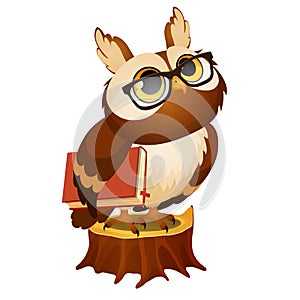 Wise owl with a book stands on a stump isolated on white background. Vector cartoon close-up illustration.