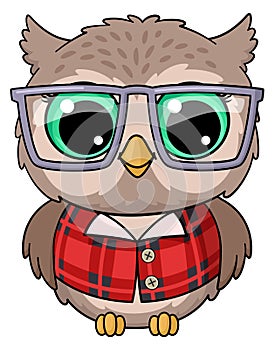 Wise owl cartoon character. Old bird in glasses