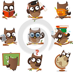Wise owl cartoon set