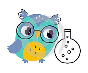 Wise Owl in Glasses, Cute Bird Chemistry Teacher Cartoon Character Vector Illustration