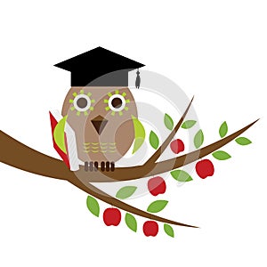 Wise owl in a graduation hat