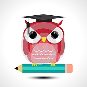 Wise owl with pencil isolated on white background