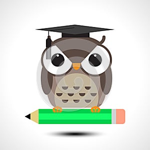 Wise owl with pencil isolated on white background