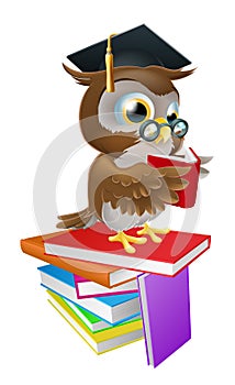 Wise owl reading photo