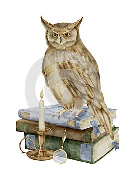 Wise Owl on a stack of books. Watercolor illustration of bird a symbol of wisdom and knowledge. Hand drawn clipart on