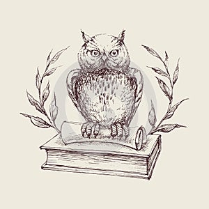 Wise owl symbol, education concept