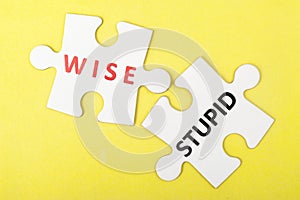 Wise versus stupid concept