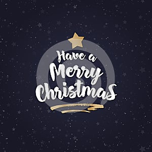 Wish have a Merry Christmas and gold star on hoilday background