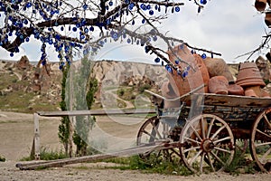 Wish tree