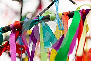 Wish Tree branches with colorful ribbons