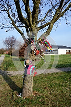 Wish tree branches with colorful ribbons