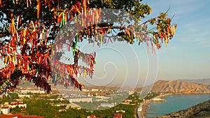 Wish Tree with red ribbons - Crimea