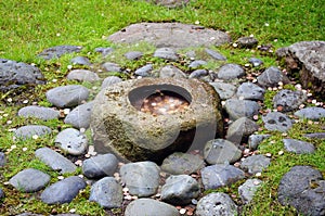 A wish well img