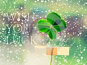 Wish you Luck - inspirational motivation quote