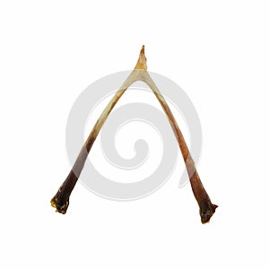 Wishbone