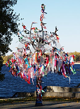 Wishes tree