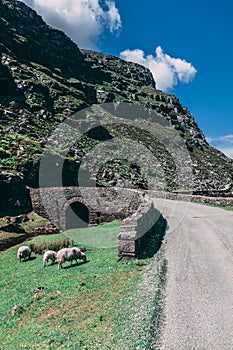 Wishing Bridge of Gap of Dunloe, a narrow mountain pass forged between the MacGillycuddy Reeks and Purple Mountain by glacial flow