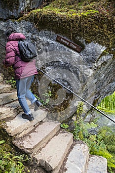 The Wishing Steps at Blarney Castle