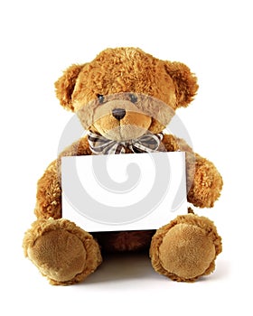 Wishing Teddy Bear