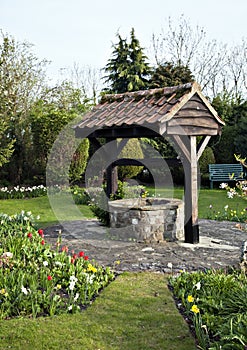 Wishing Well photo