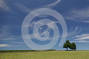 Wispy Clouds on a Summer Day - landscape