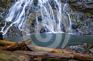 Wispy Rocky Brook waterfall in Olympic National Forest