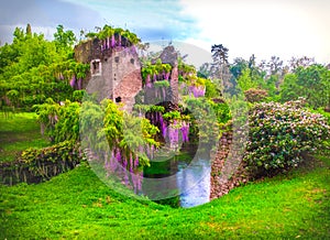 Wisteria flowers in fairy garden of ninfa in Italy - medieval tower ruin surrounded by river