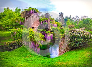 Wisteria flowers in fairy garden of ninfa in Italy - medieval tower ruin surrounded by river photo