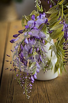 Wisteria inside a jug on a wooden table