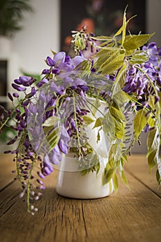Wisteria inside a jug on a wooden table