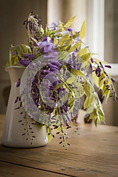 Wisteria inside a jug on a wooden table