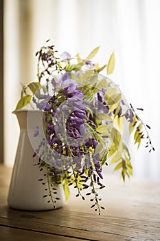 Wisteria inside a jug on a wooden table