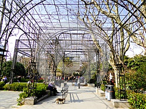 Wisteria promenade