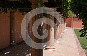 Wisteria shades a walkway