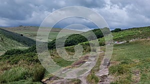 Wistman\'s Wood is one of three remote high-altitude oakwoods on Dartmoor, Devon, England