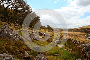 Wistmans Wood Driuds Wood on Dartmoor. Devon