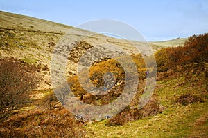 Wistmans woods. Dartmoor National Park . Devon. Uk